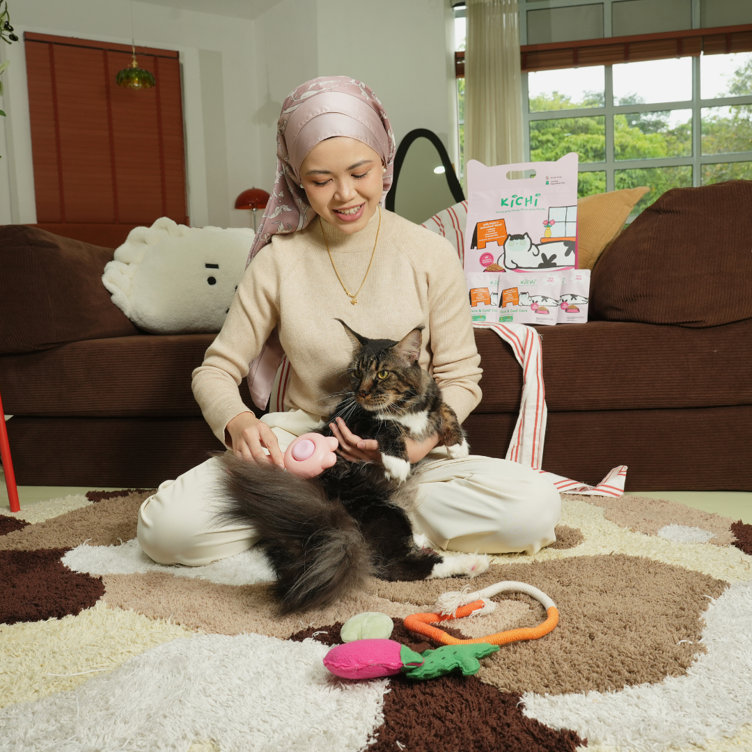 Kichi Skin & Coat Care Fresh Chicken Holistic Cat Food