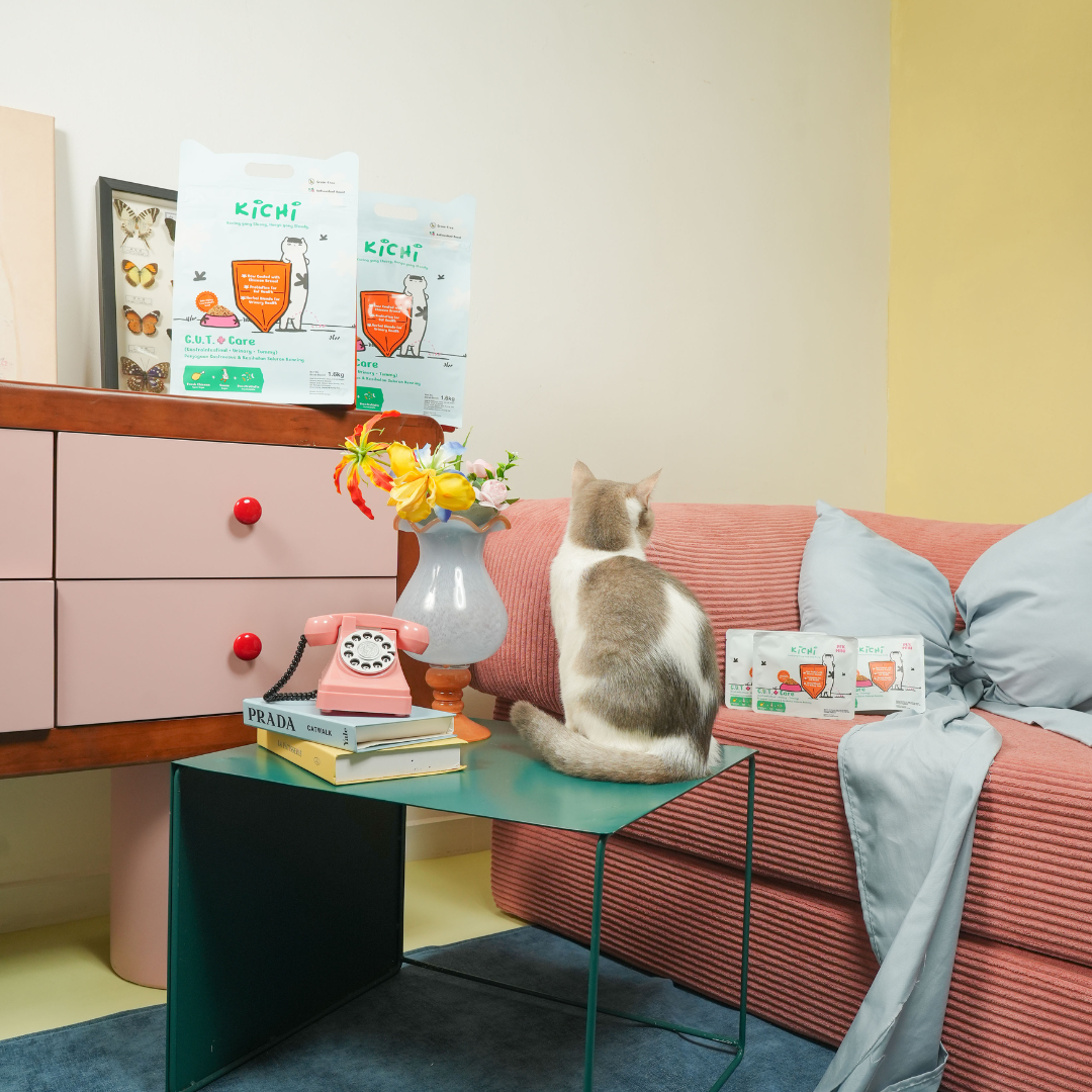 Kichi G.U.T.+ Care Fresh Chicken & Goose Holistic Cat Food Mini Pack