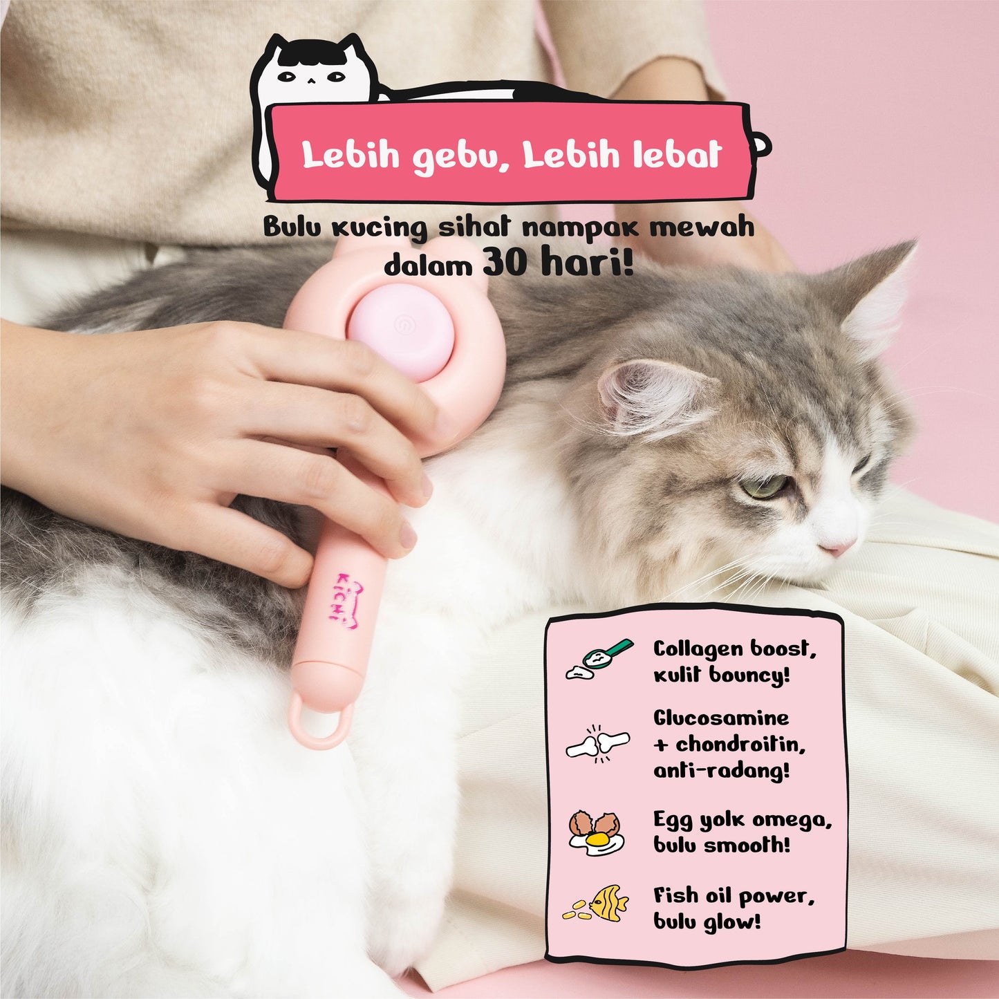 Kichi Skin & Coat Care Fresh Chicken Holistic Cat Food