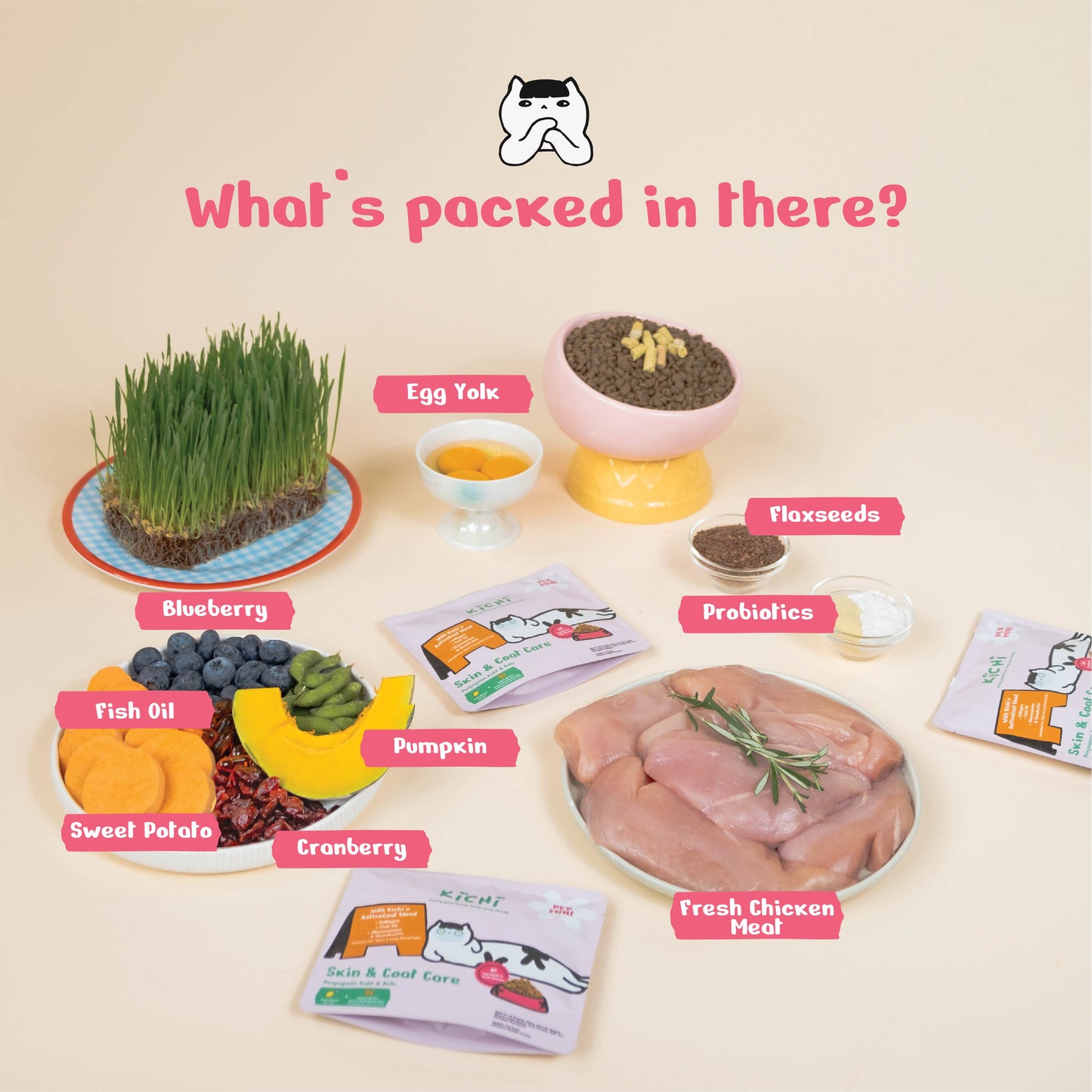 Kichi Skin & Coat Care Fresh Chicken Holistic Cat Food