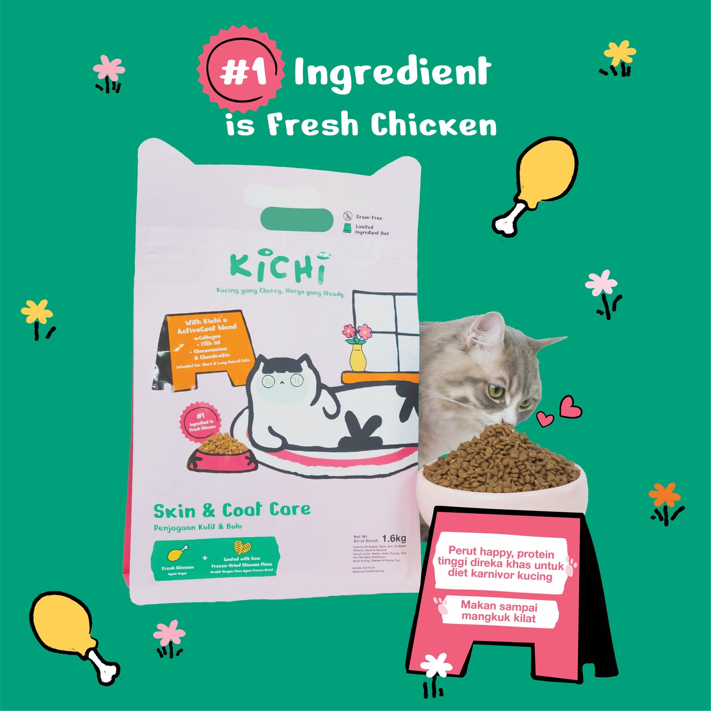 Kichi Skin & Coat Care Fresh Chicken Holistic Cat Food