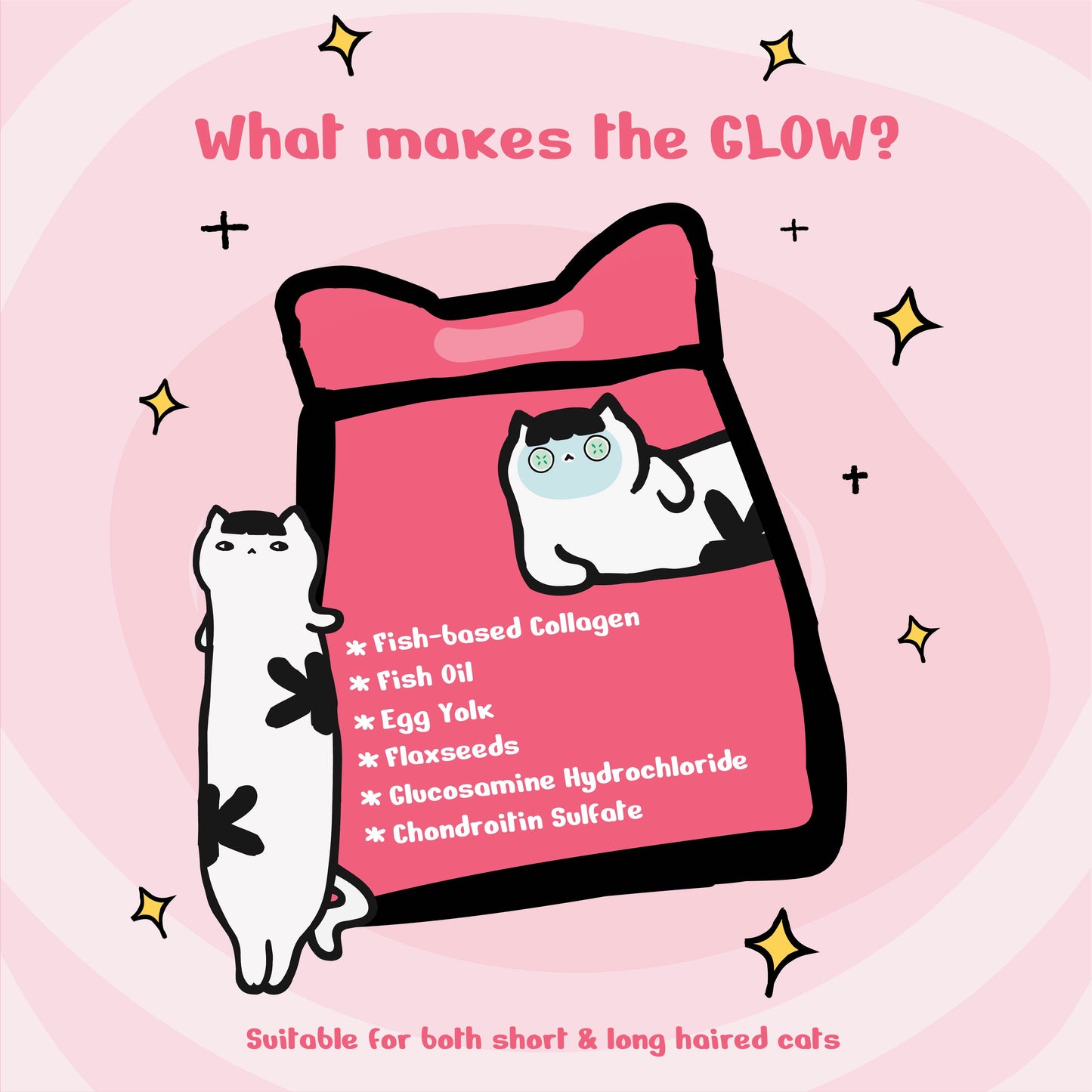 Kichi Skin & Coat Care Fresh Chicken Holistic Cat Food