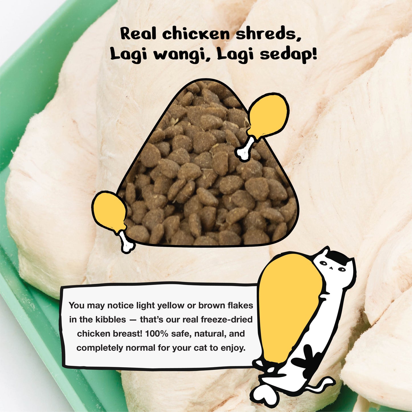 Kichi Skin & Coat Care Fresh Chicken Holistic Cat Food