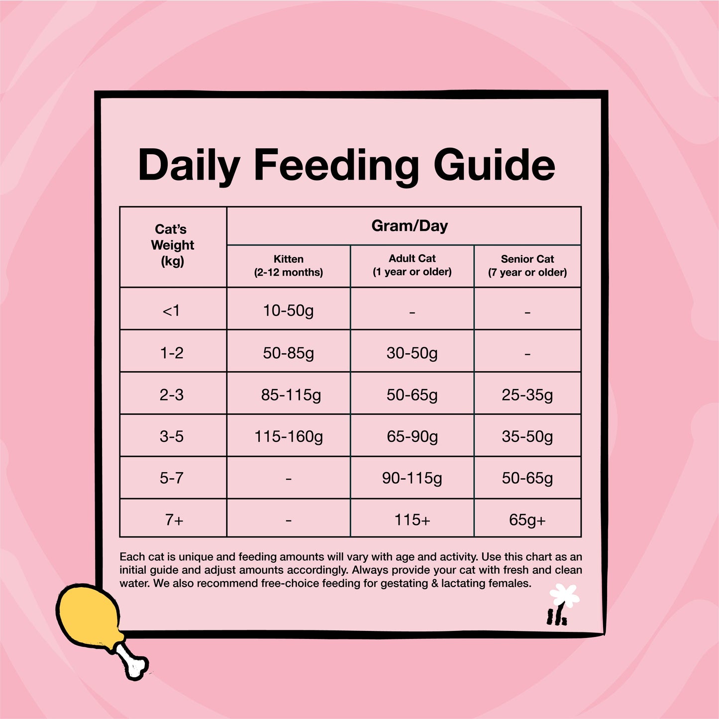 Kichi Skin & Coat Care Fresh Chicken Holistic Cat Food