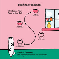 Kichi Skin & Coat Care Fresh Chicken Holistic Cat Food