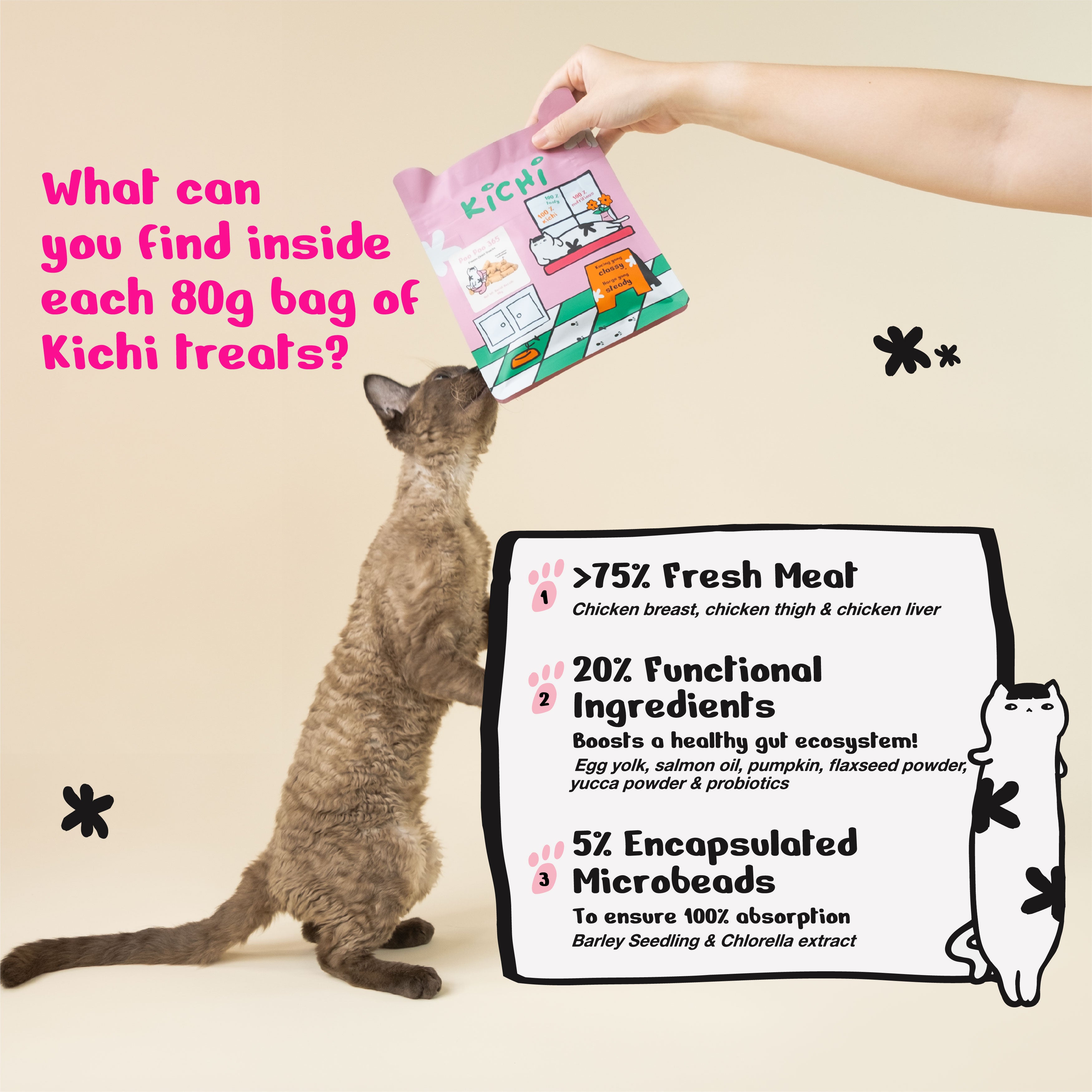 Kichi Poo Poo 365 Freeze-Dried Snacks (80g)