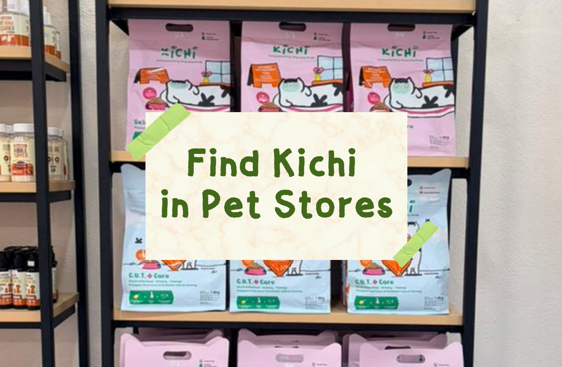 Find Kichi in Pet Stores