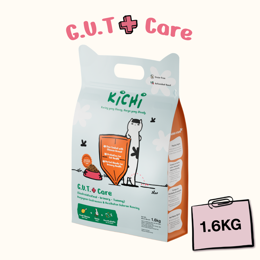 Kichi G.U.T.+ Care Fresh Chicken & Goose Holistic Cat Food