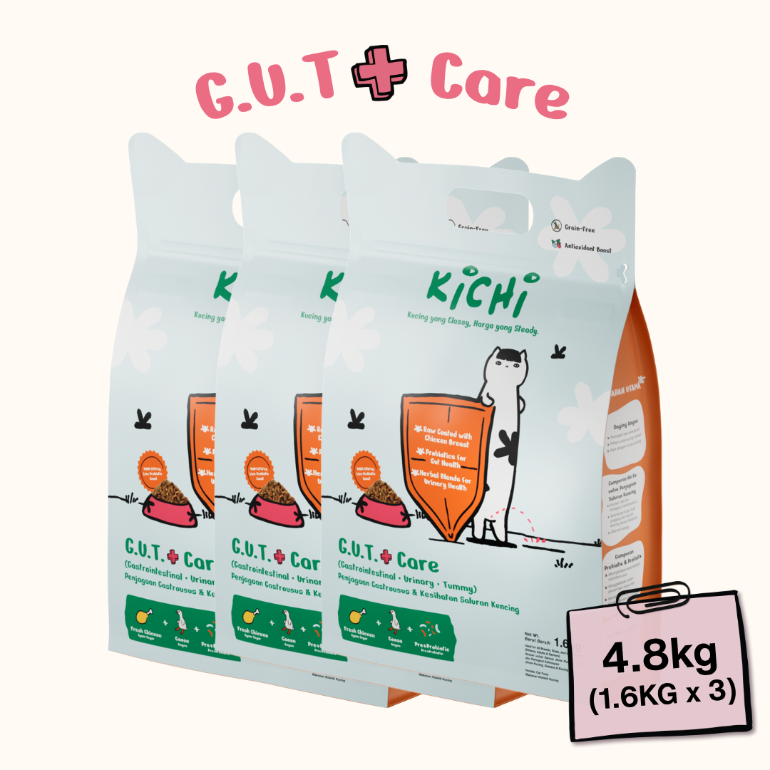Kichi G.U.T.+ Care Fresh Chicken & Goose Holistic Cat Food