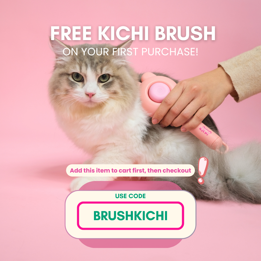 Kichi Slicker Brush