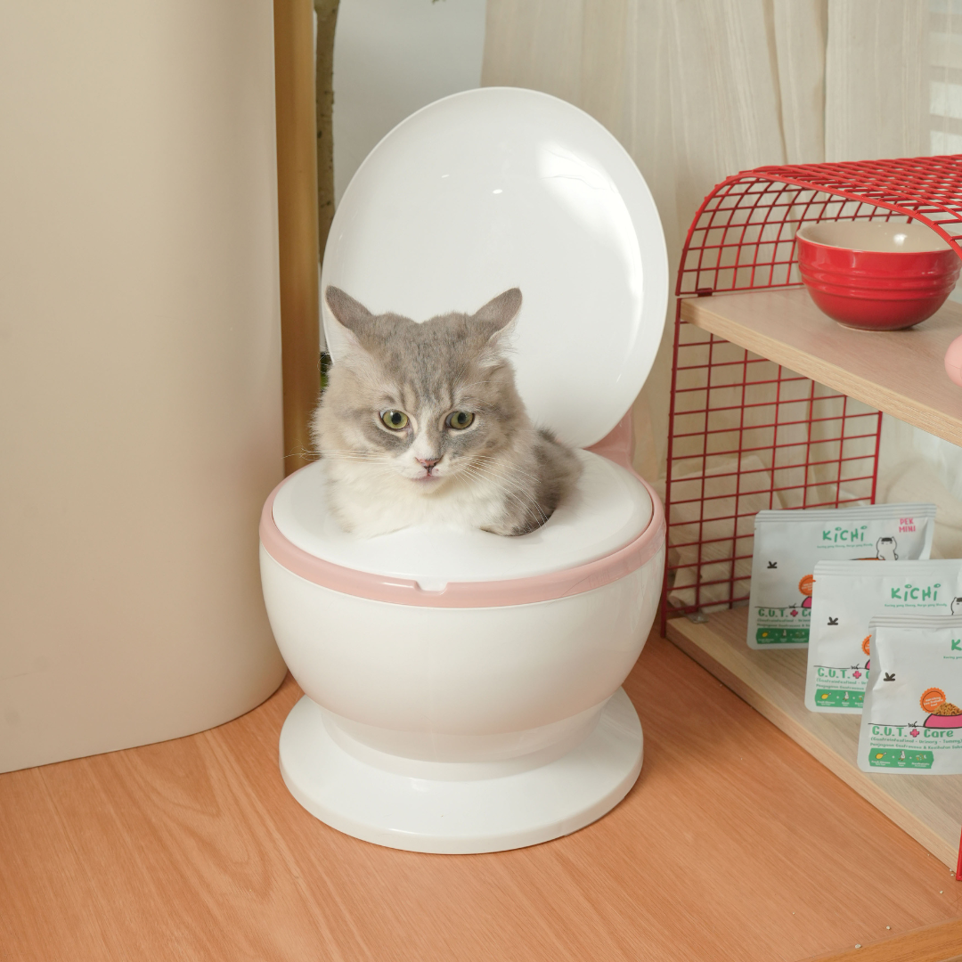 Kichi G.U.T.+ Care Fresh Chicken & Goose Holistic Cat Food Mini Pack