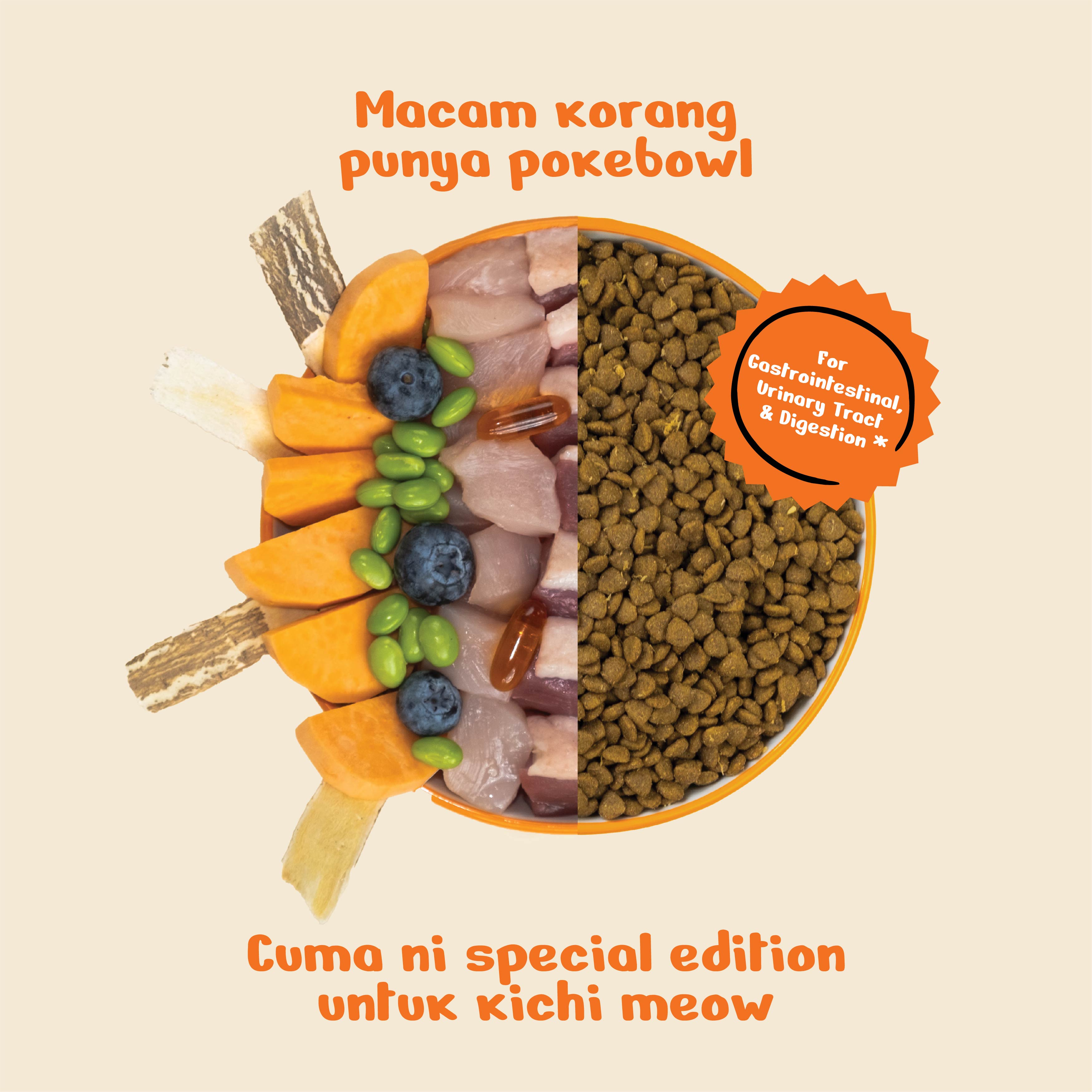 Kichi G.U.T.+ Care Fresh Chicken & Goose Holistic Cat Food Mini Pack