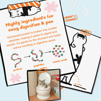 Kichi G.U.T.+ Care Fresh Chicken & Goose Holistic Cat Food Mini Pack