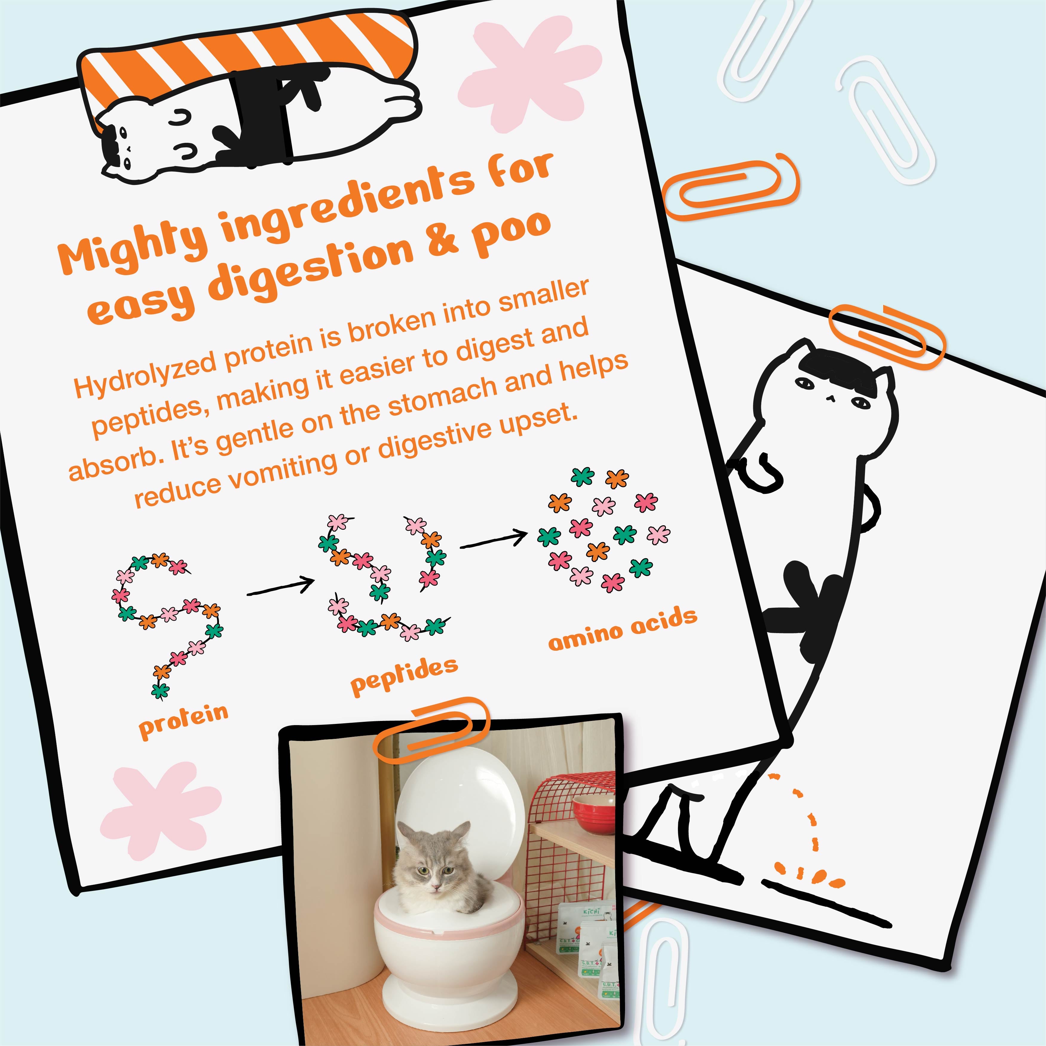 Kichi G.U.T.+ Care Fresh Chicken & Goose Holistic Cat Food Mini Pack