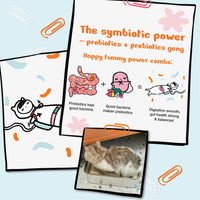 Kichi G.U.T.+ Care Fresh Chicken & Goose Holistic Cat Food Mini Pack