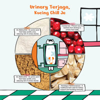 Kichi G.U.T.+ Care Fresh Chicken & Goose Holistic Cat Food Mini Pack