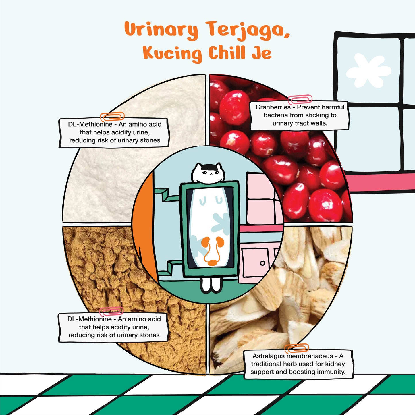 Kichi G.U.T.+ Care Fresh Chicken & Goose Holistic Cat Food Mini Pack