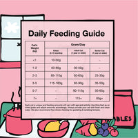 Kichi G.U.T.+ Care Fresh Chicken & Goose Holistic Cat Food Mini Pack