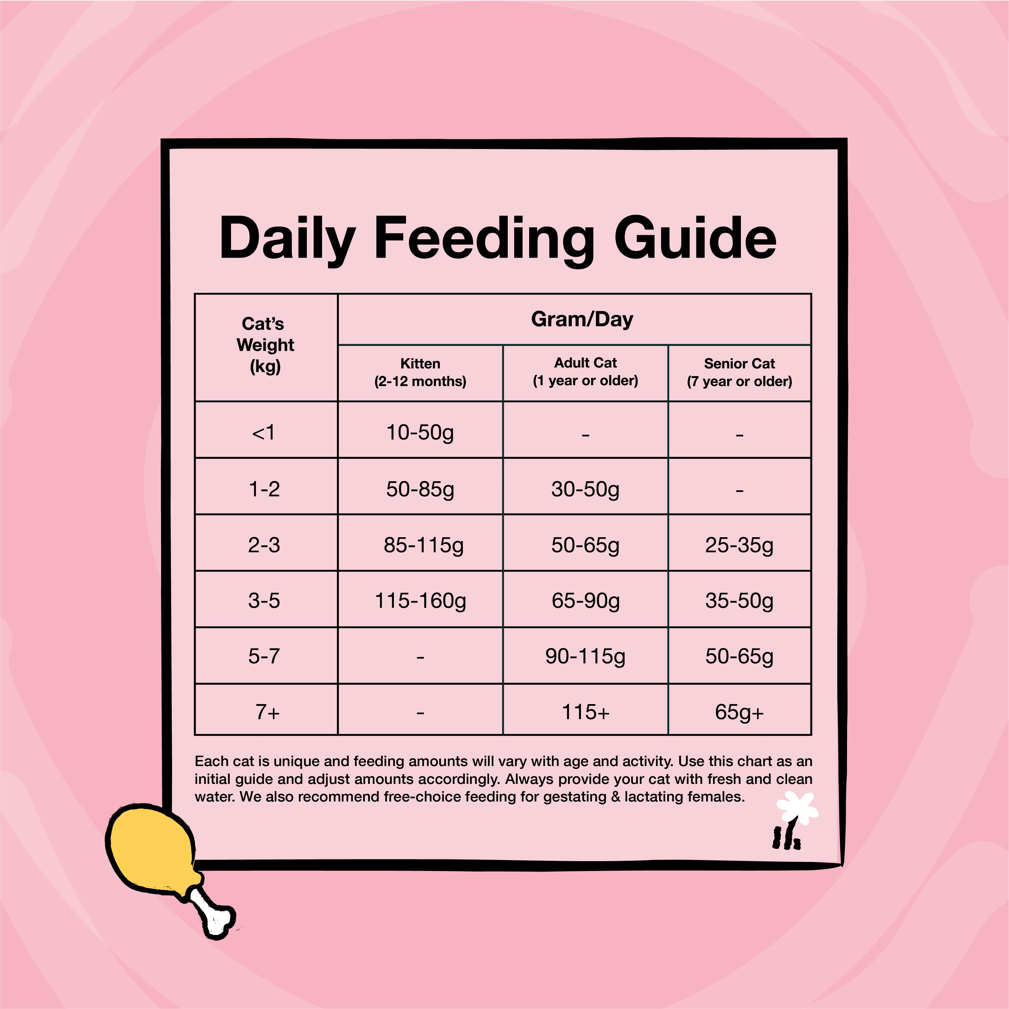 Kichi G.U.T.+ Care Fresh Chicken & Goose Holistic Cat Food