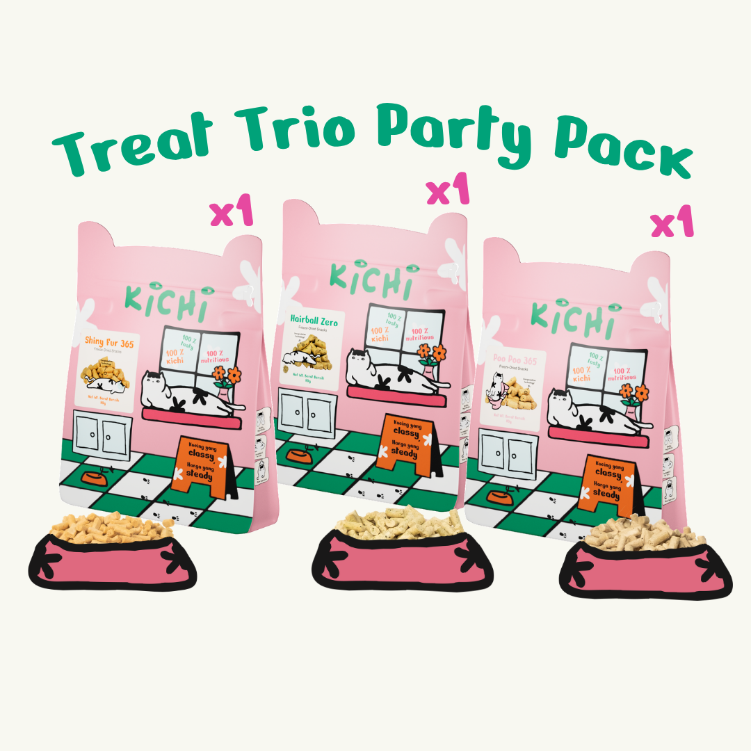 Treat Trio Party Pack