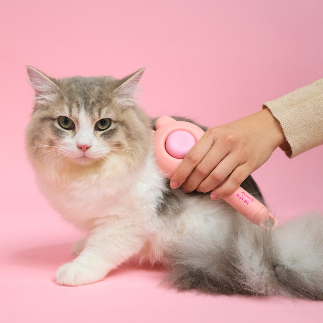 [KIBBLE FREE GIFT] Kichi Slicker Brush