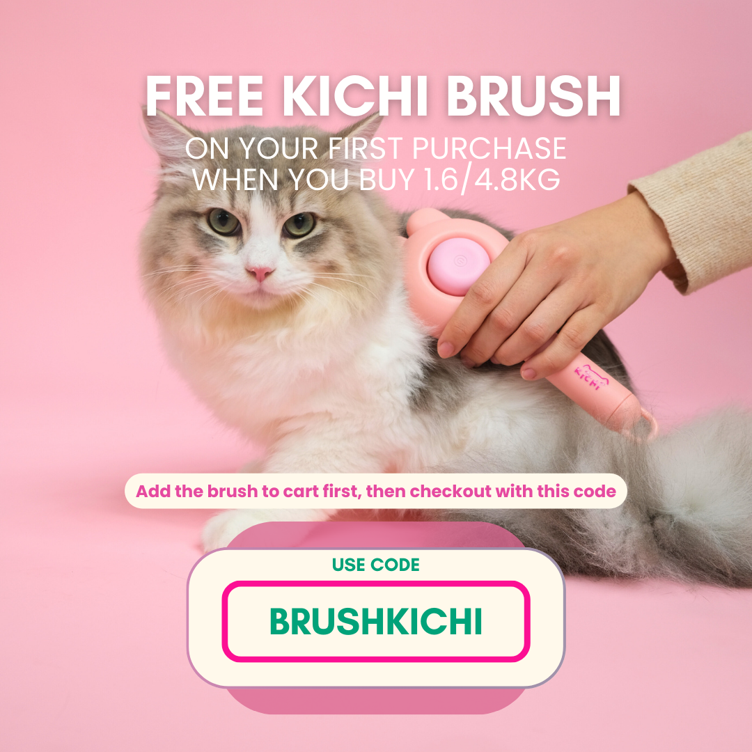 Kichi Skin & Coat Care Fresh Chicken Holistic Cat Food