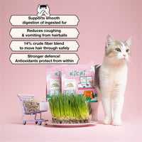 Kichi Hairball Zero Freeze-Dried Snacks (80g)