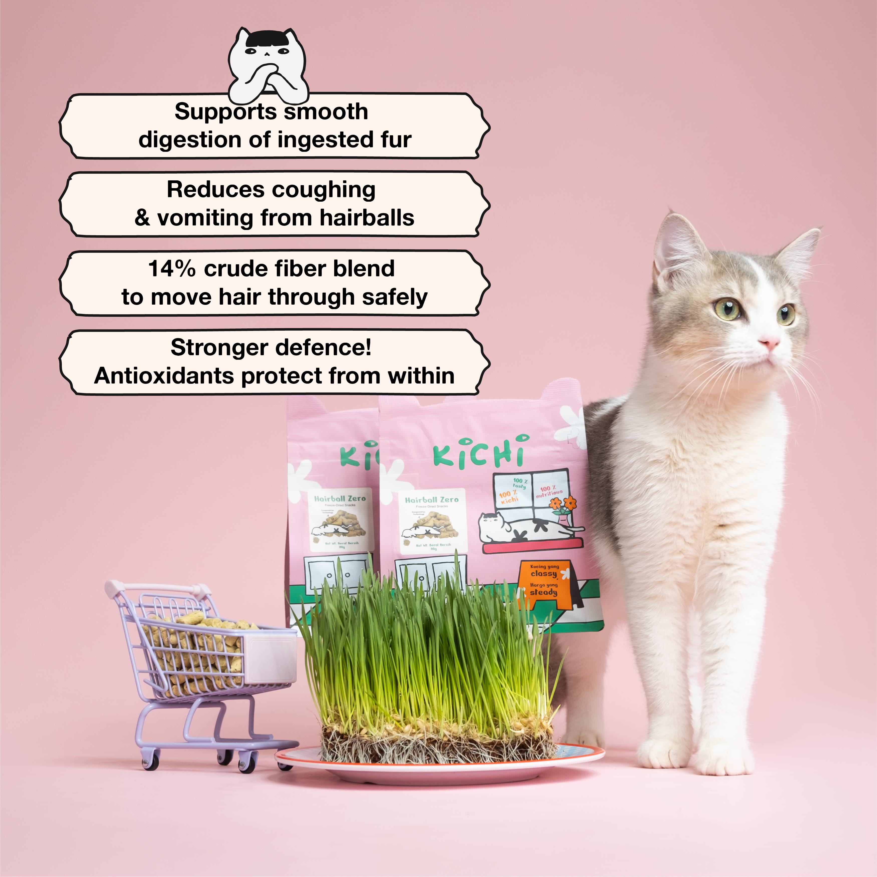 Kichi Hairball Zero Freeze-Dried Snacks (80g)