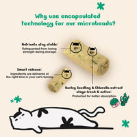 Kichi Hairball Zero Freeze-Dried Snacks (80g)