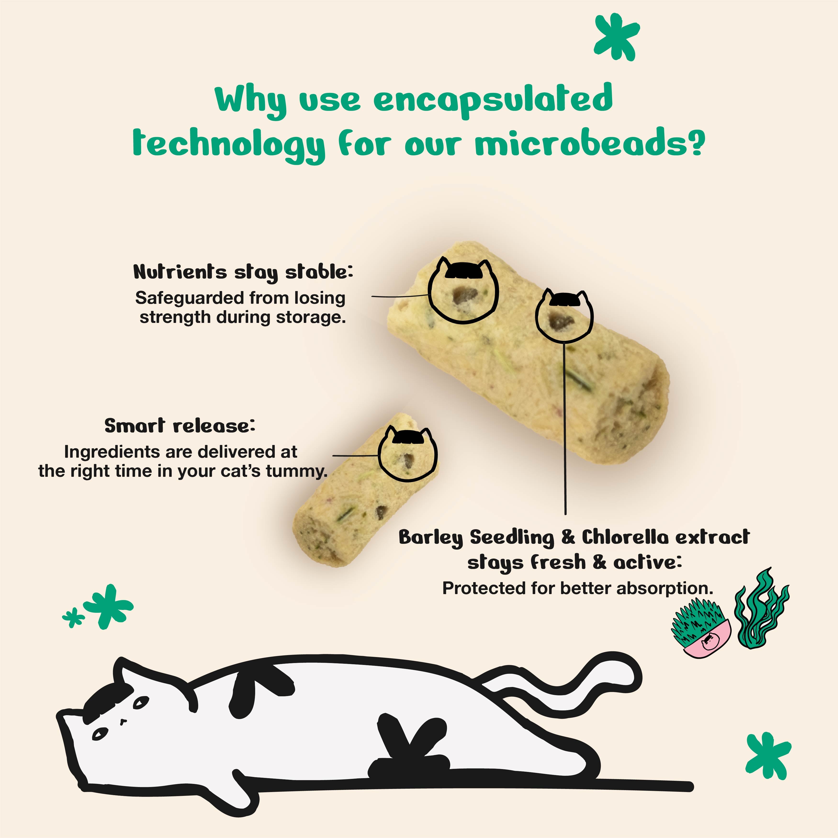 Kichi Hairball Zero Freeze-Dried Snacks (80g)