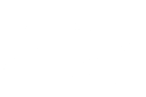 Kichi Cat Food