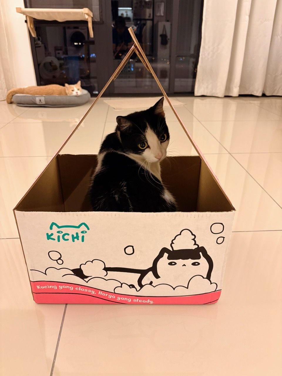 Bingsee