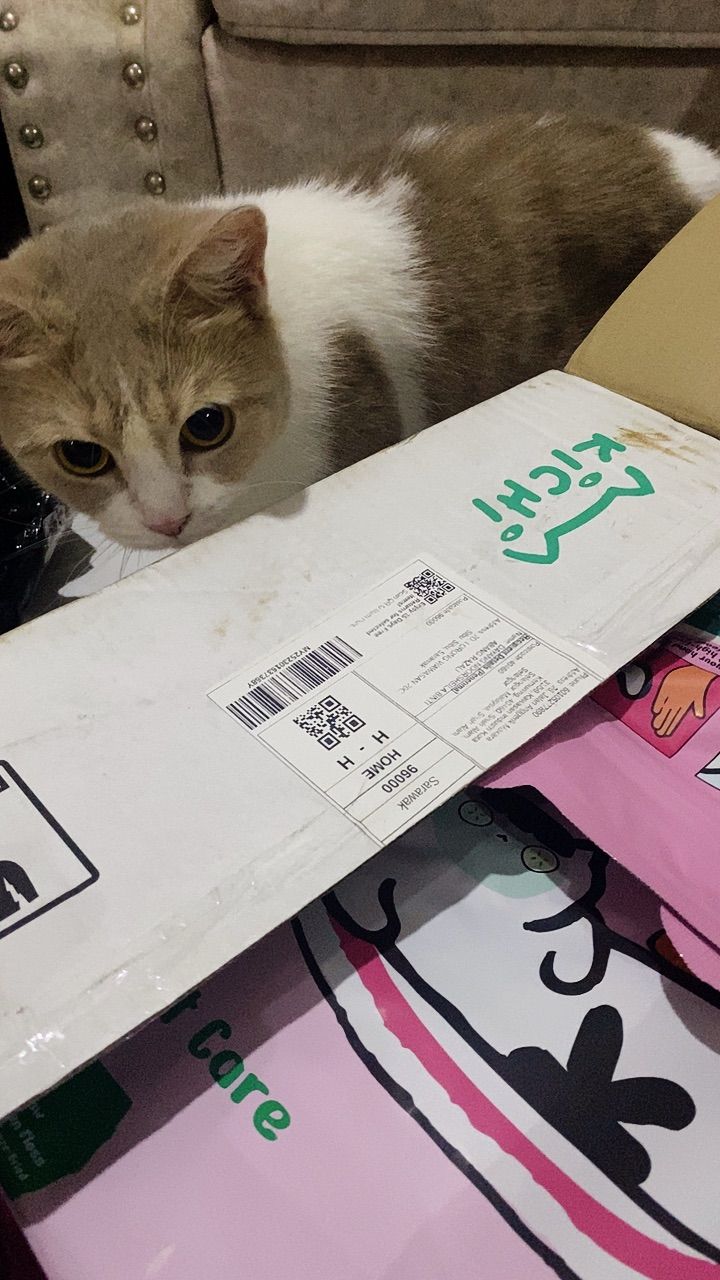 Azam