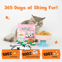 Kichi Shiny Fur 365 Freeze-Dried Snacks (80g)
